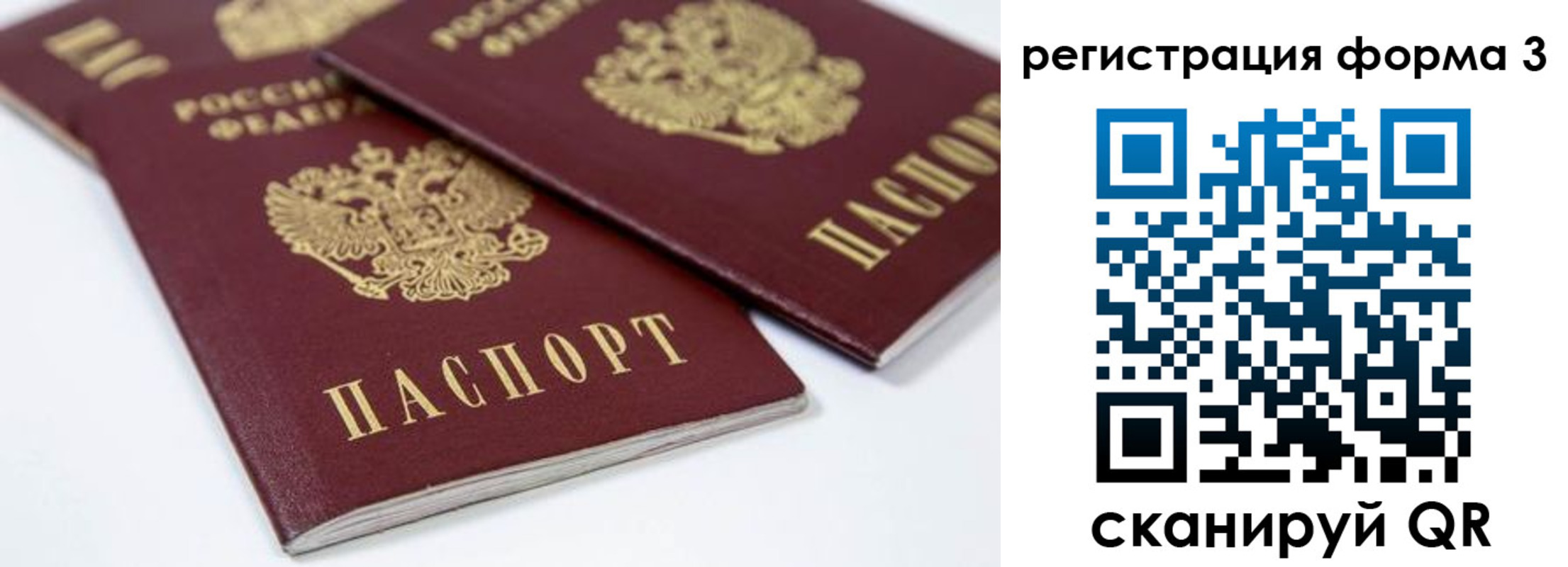 временная регистрация адрес в Мончегорске